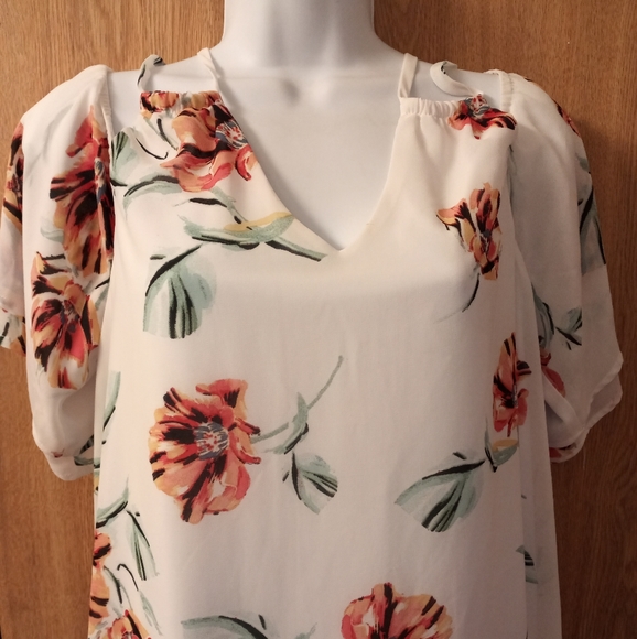 LUXOLOGY - Picture 2 of 5